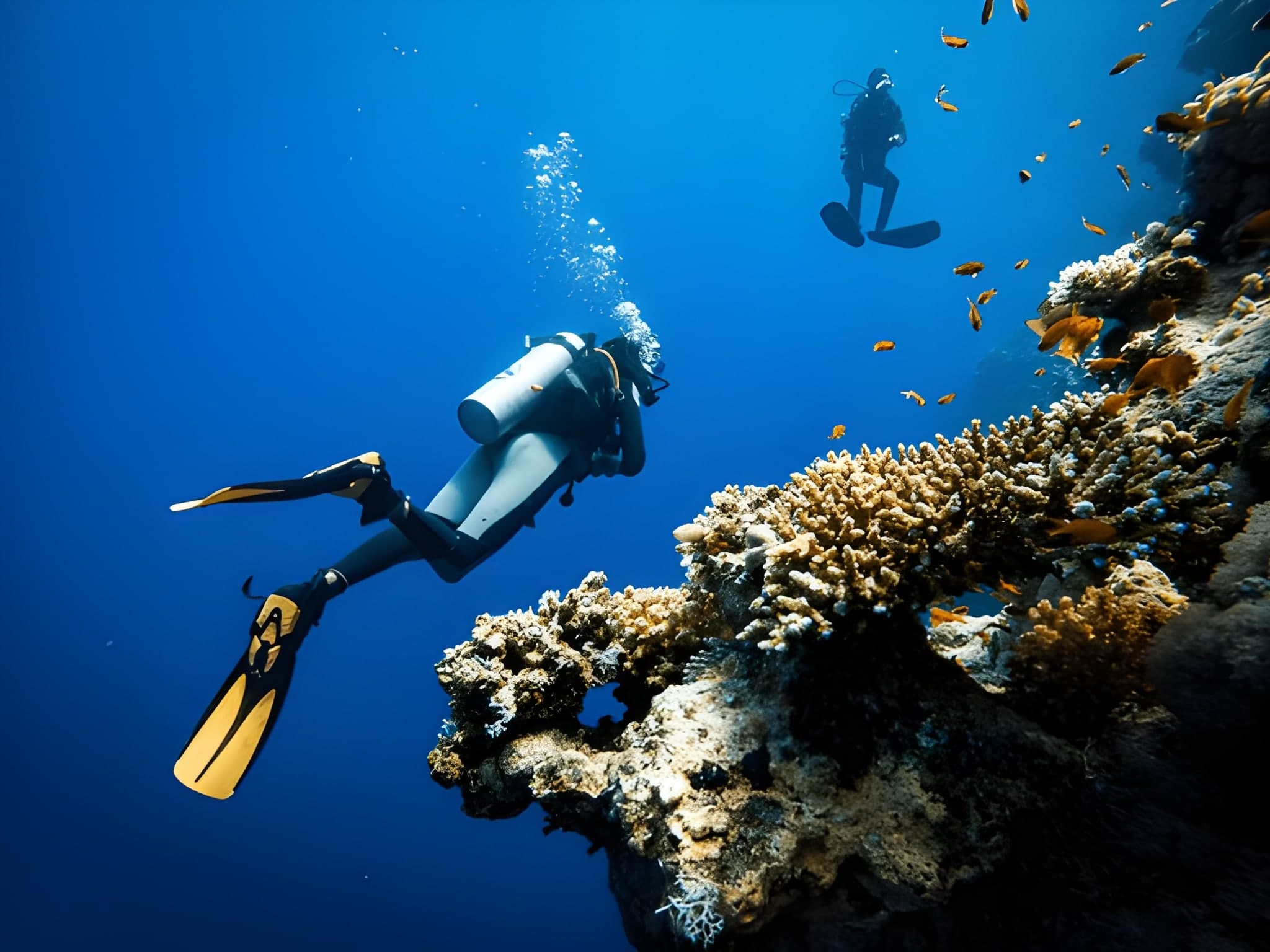 Diving and Water Sports