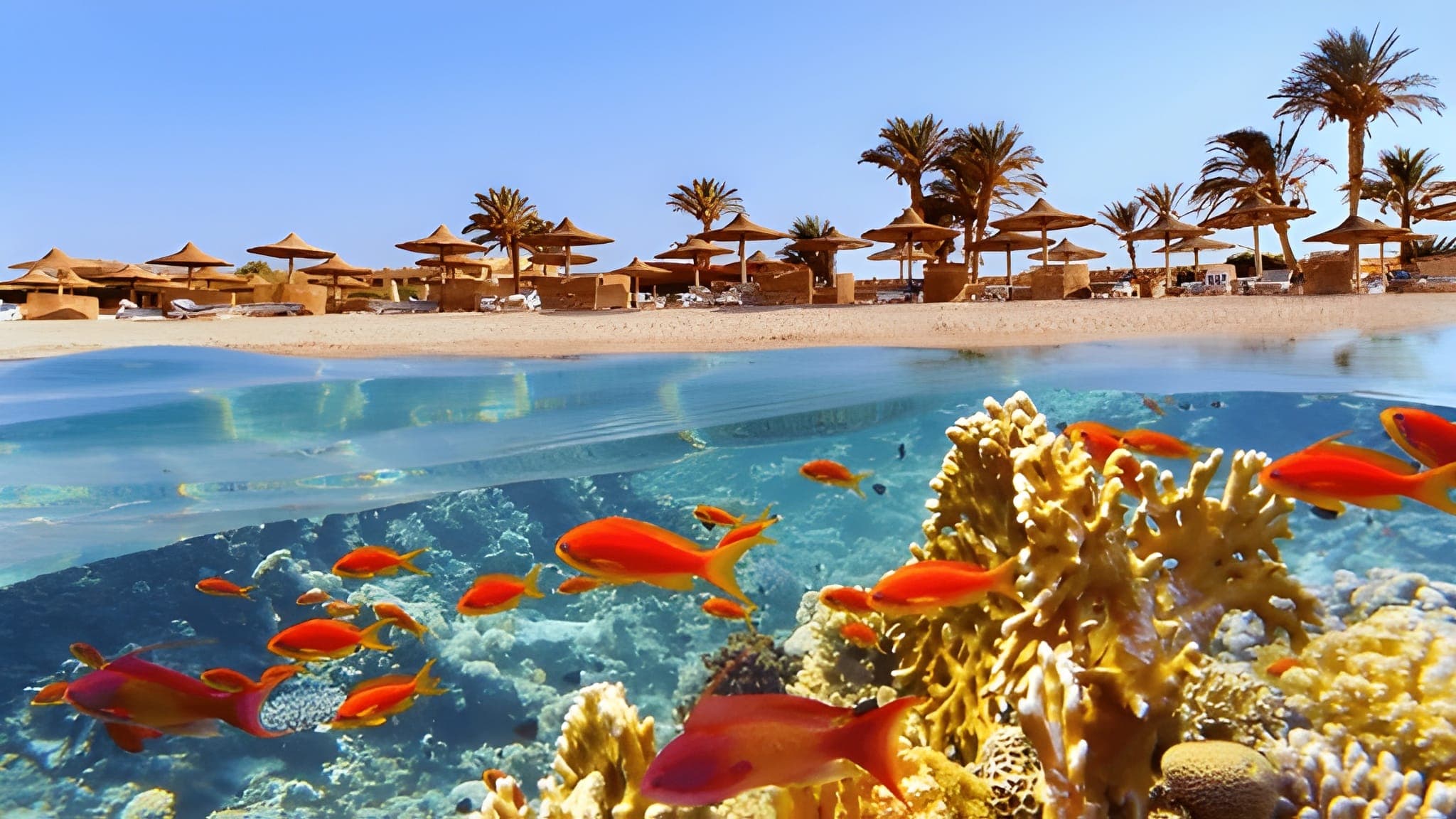 Sharm El Sheikh, Egypt