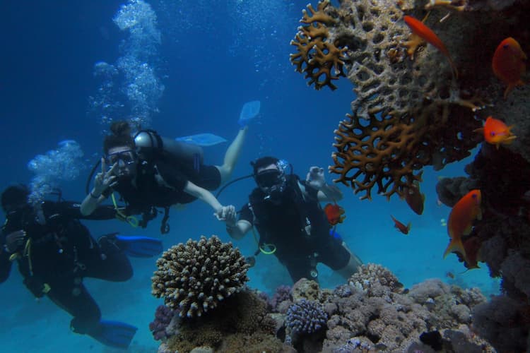 Red Sea destination gallery image 6
